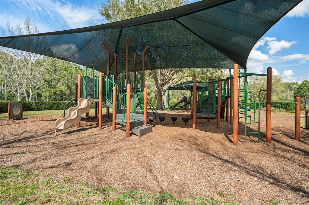 3500 Sebastian Bridge Lane Harmony, FL 34773 - Photo 66 of 71