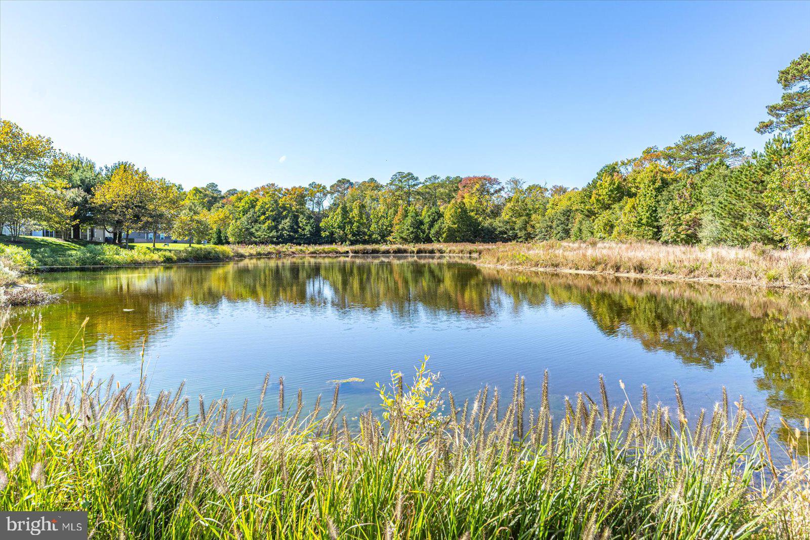 36357 Redstart Court Ocean View, DE 19970 - Photo 102 of 109