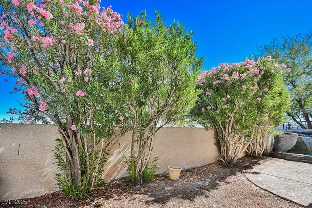 $2,450 | 138 Camino Capri, Henderson, NV 89012