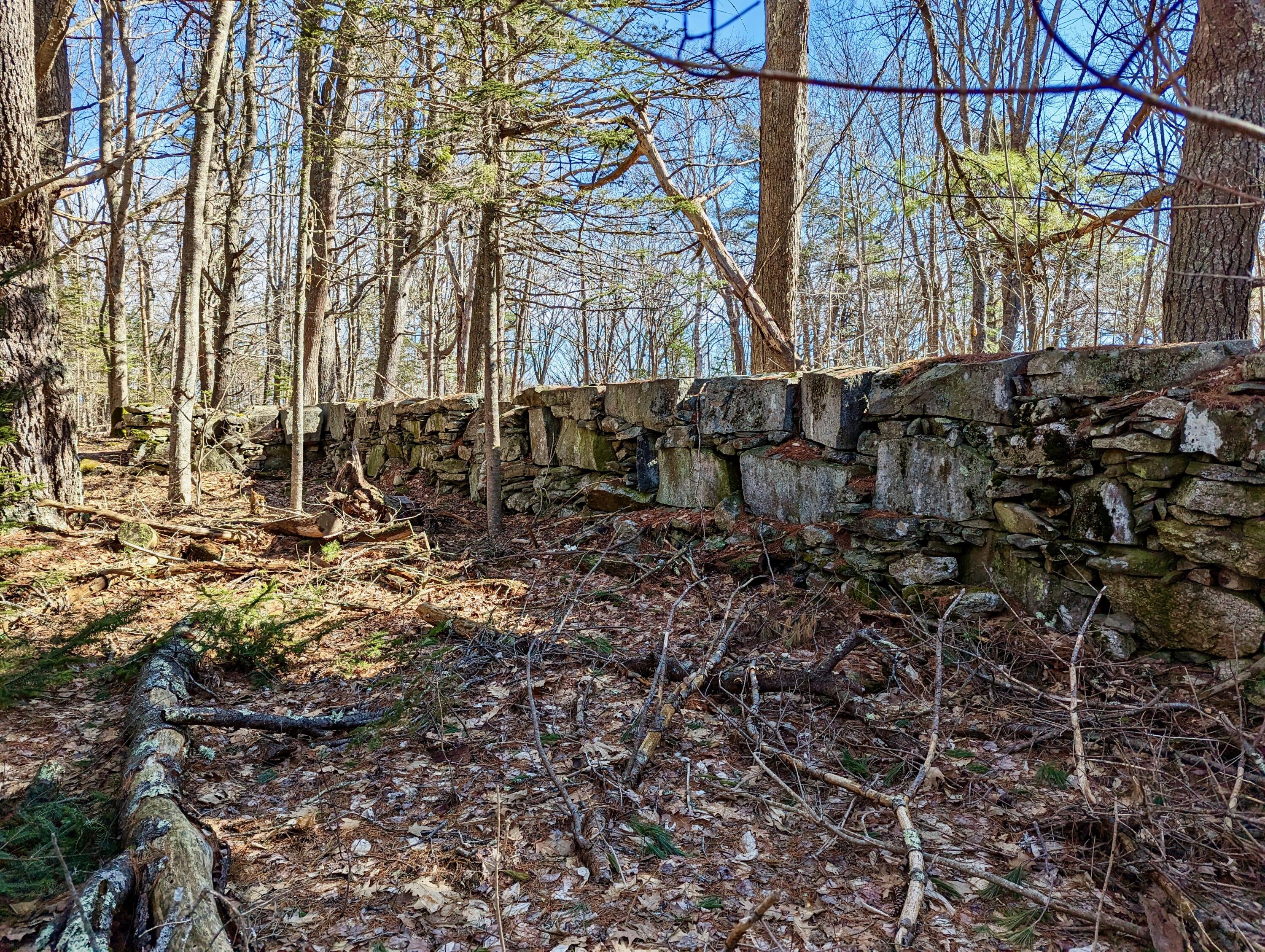 Lot 2 Churches Point Road Round Pond, ME 04564 - Photo 11 of 23 PXL_20230327_140102764