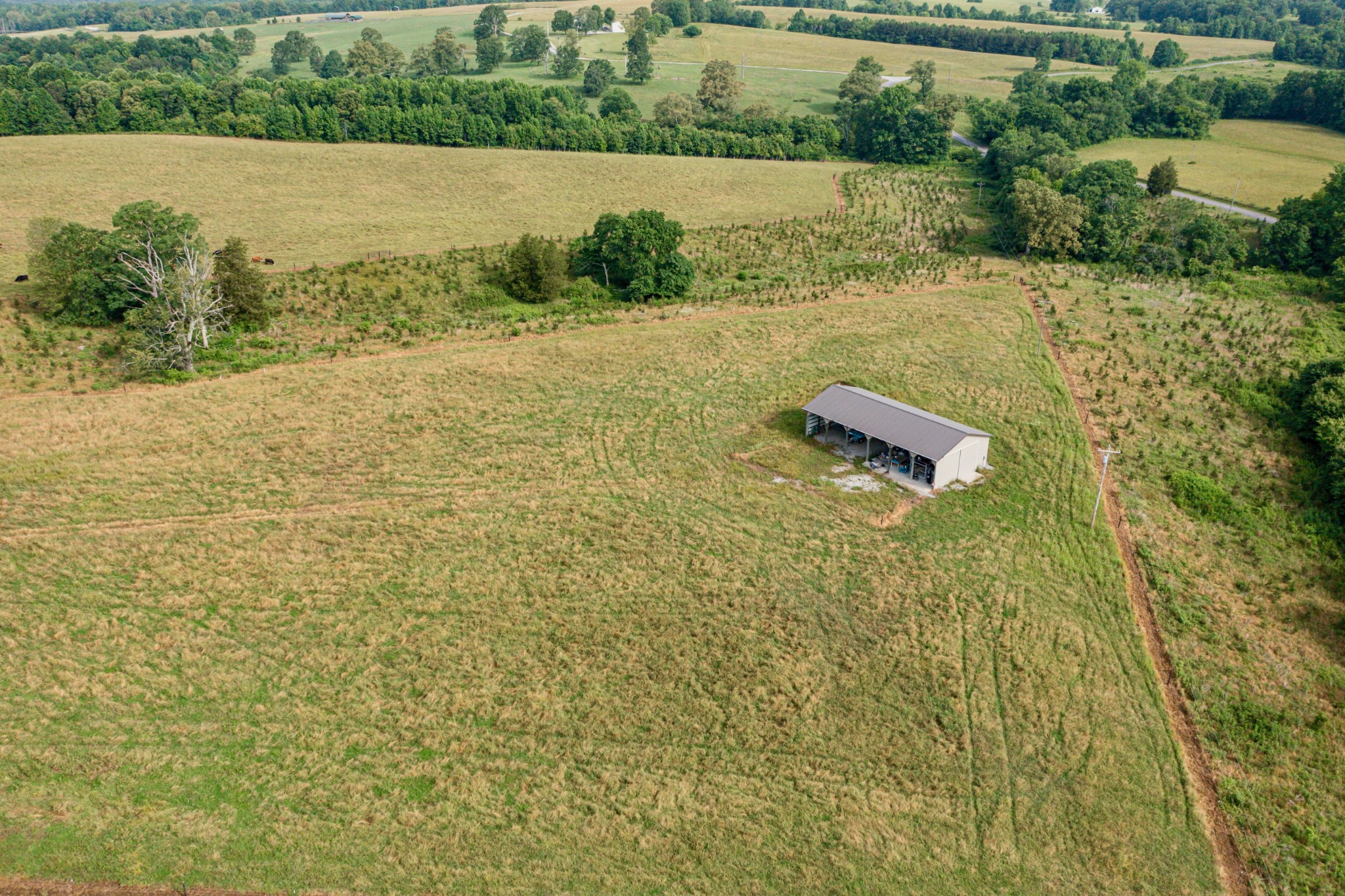 151 Reece Lane Pikeville, TN 37367 - Photo 54 of 59 Gallery Image 54