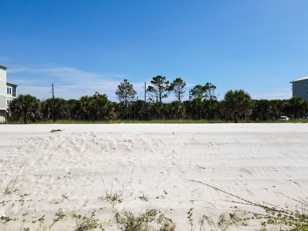 978 Indian Pass Road Port St. Joe, FL 32456 - Photo 6 of 8