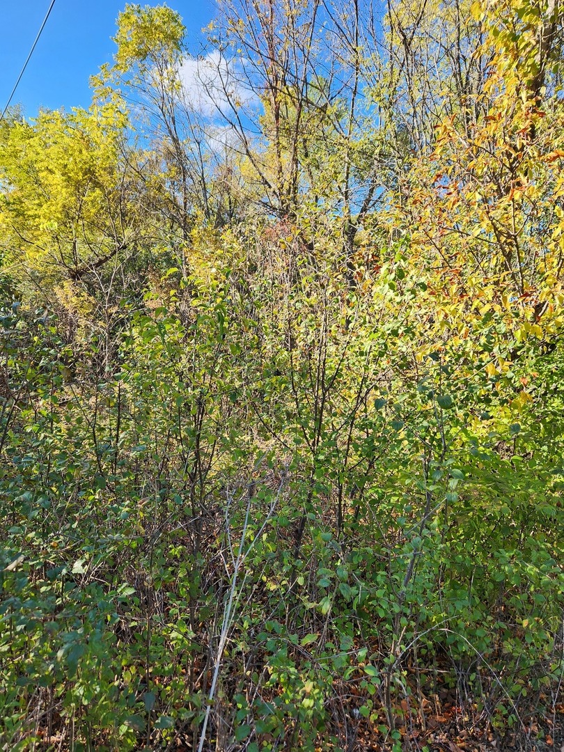 S760 Cleveland Street Wheaton, IL 60189 - Photo 1 of 4 a view of a yard with a tree