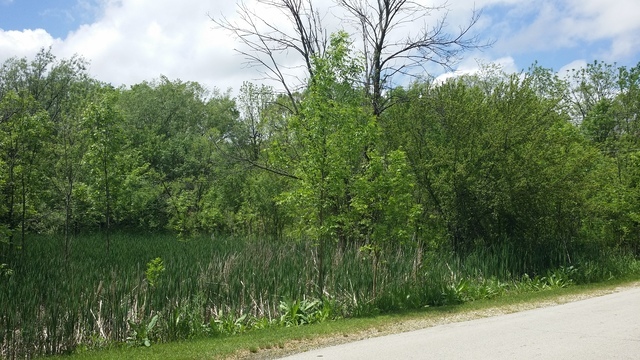 S760 Cleveland Street Wheaton, IL 60189 - Photo 3 of 4 a view of a lush green space