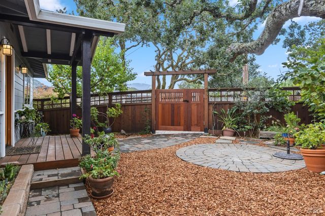a view of a backyard with potted plants and large tree