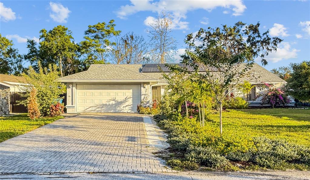 8143 Wooden Drive Spring Hill, FL 34606 - Photo 1 of 36 a front view of a house with a yard