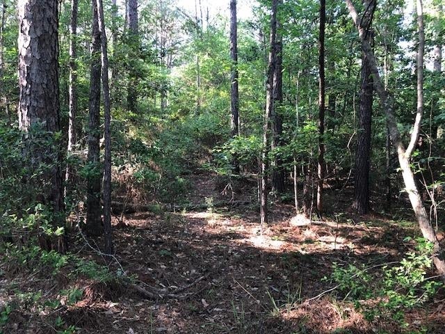 2665 Lester Bell Road Brantley, AL 36009 - Photo 39 of 48 Gallery Image 39