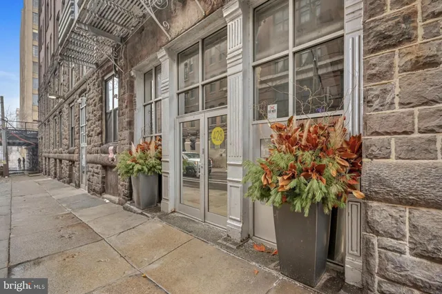 a plant is in front of building