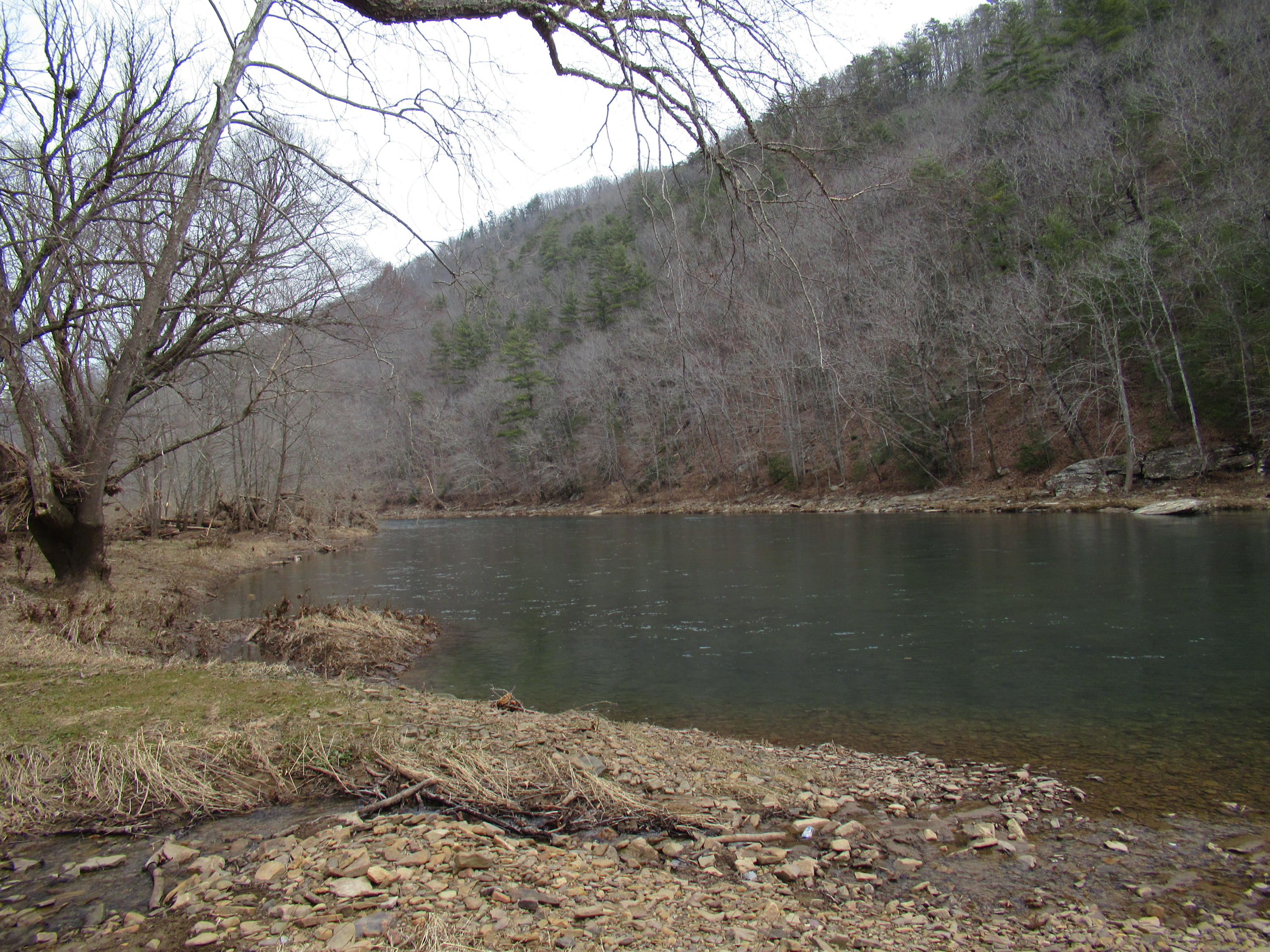 Lot 17 Spice Run Road Hillsboro, WV 24946 - Photo 8 of 12 Gallery Image 8