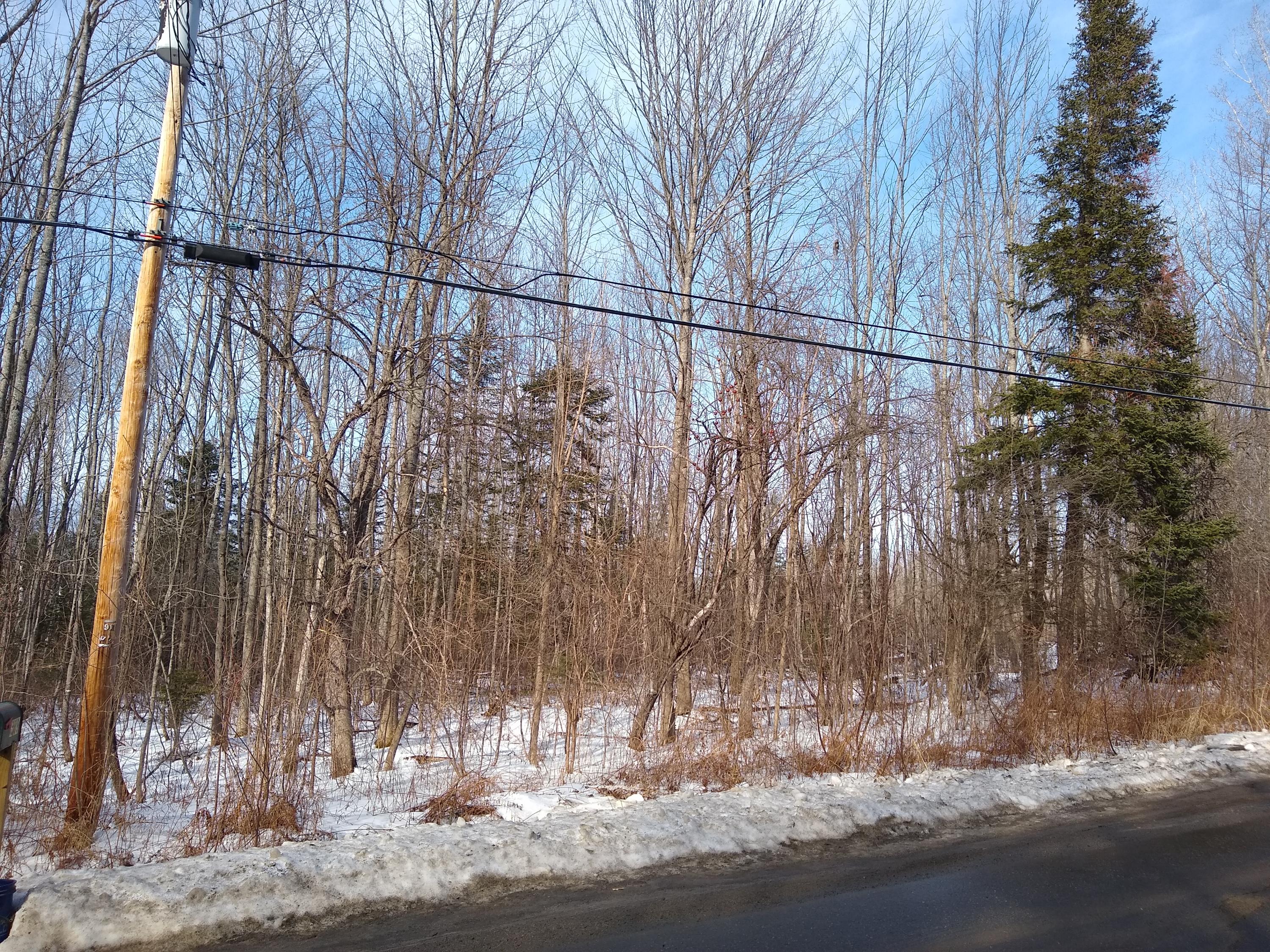0 Bailey Hill Road Farmington, ME 04938 - Photo 7 of 11 IMG_20200111_131547273