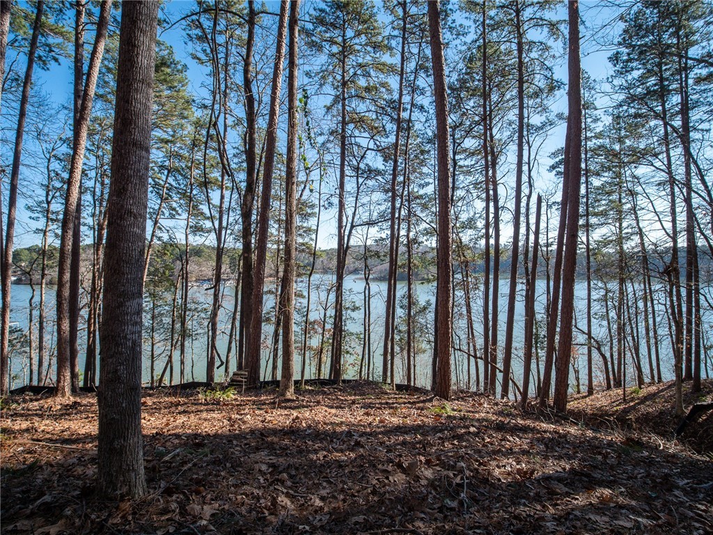 Lot 136 Harbor Point/ Harbor Ridge Road Seneca, SC 29672 - Photo 1 of 20 Gallery Image 1