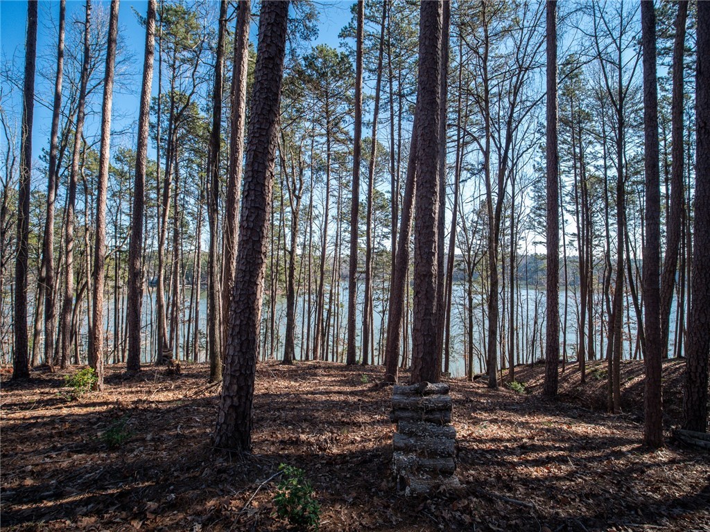 Lot 136 Harbor Point/ Harbor Ridge Road Seneca, SC 29672 - Photo 8 of 20 Gallery Image 8