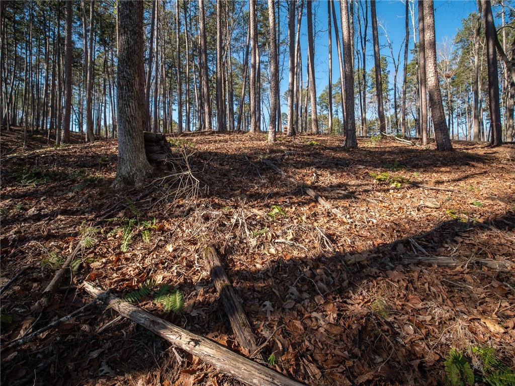 Lot 136 Harbor Point/ Harbor Ridge Road Seneca, SC 29672 - Photo 10 of 20 Gallery Image 10