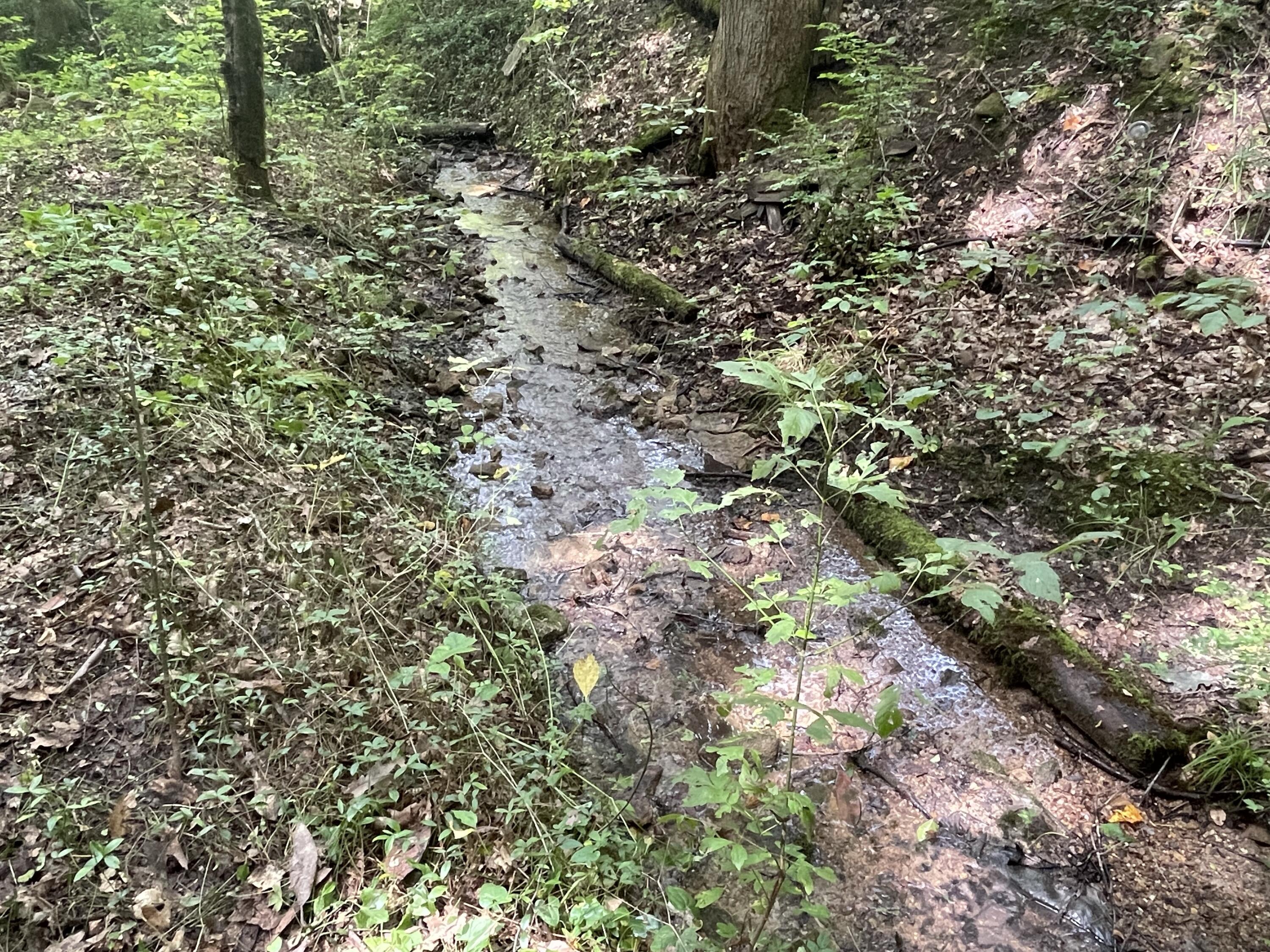 Hollow Road Cosby, TN 37722 - Photo 3 of 40 3
