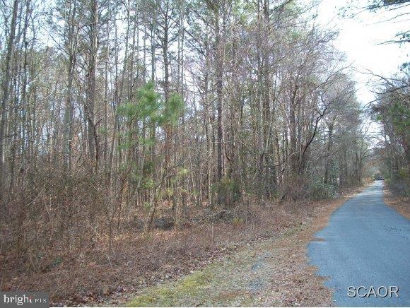 Orchard Road Ellendale, DE 19941 - Photo 1 of 1 Gallery Image 1