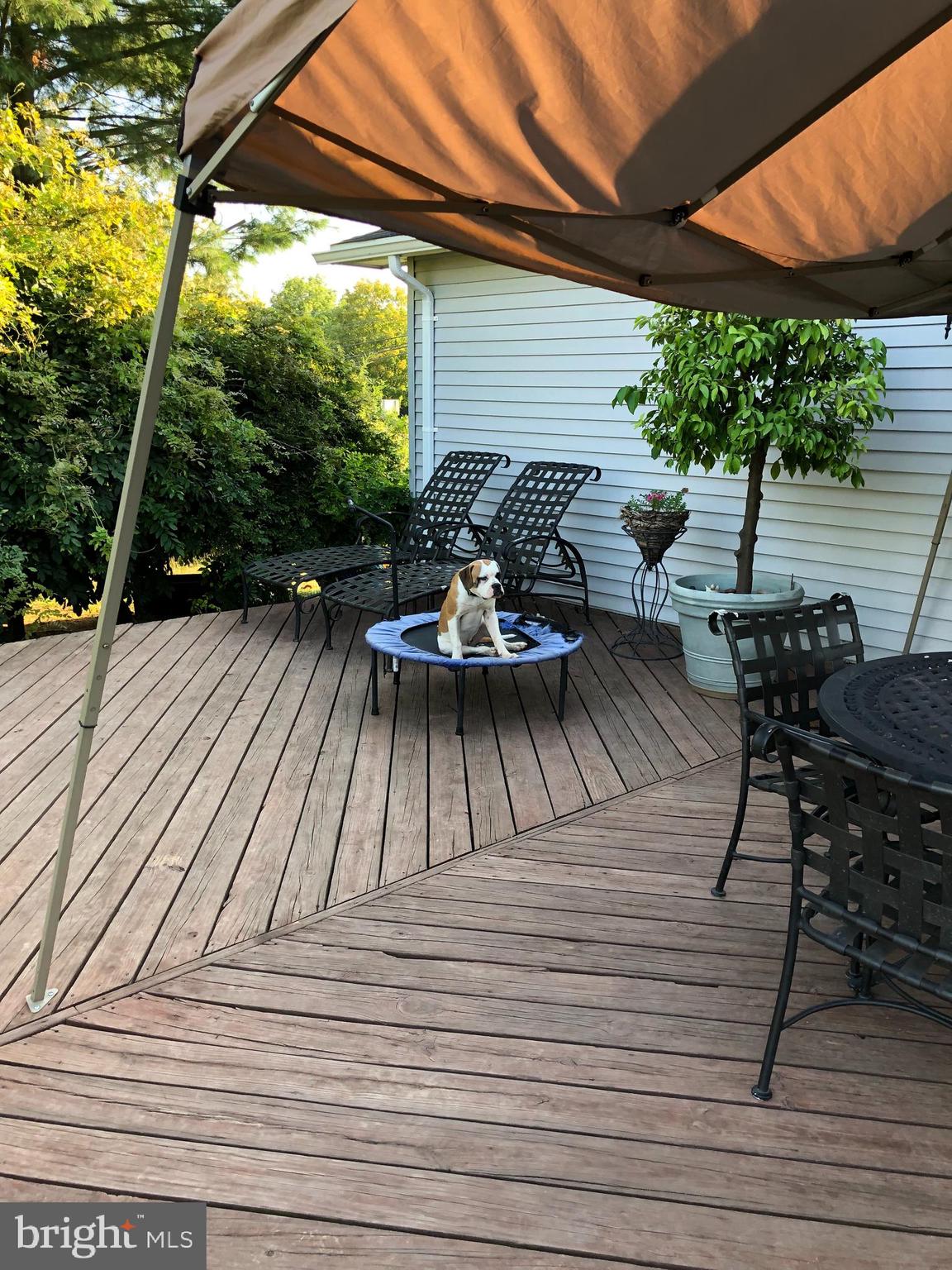 171 California Road Quakertown, PA 18951 - Photo 8 of 10 Large Deck