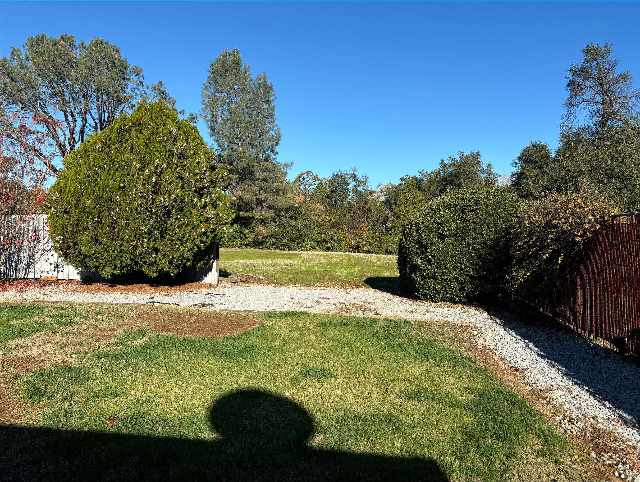 1862 Whaley Road Redding, CA 96003 - Photo 4 of 12 a view of a back yard of the house