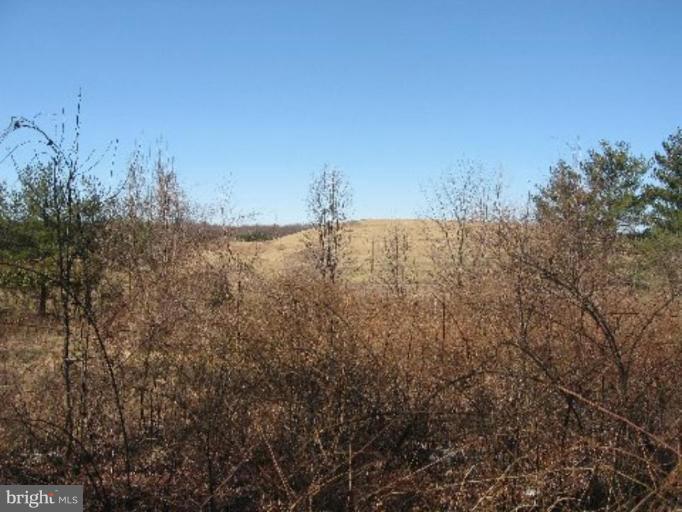 800 Utterback Store Road Great Falls, VA 22066 - Photo 3 of 7 Back yard