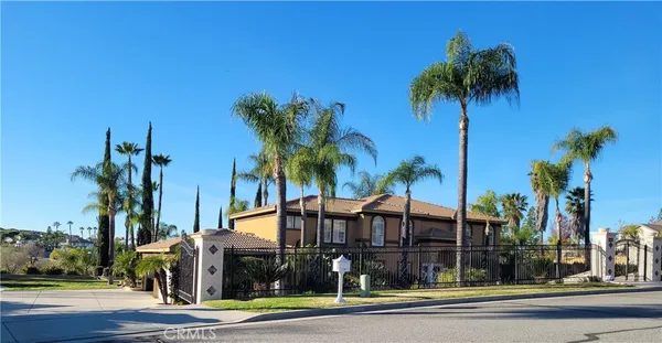 a view of a palm trees front of a building