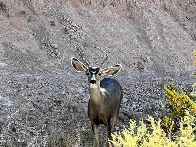 $435,000 | 5604 Pebble Beach Drive, El Paso, TX 79912