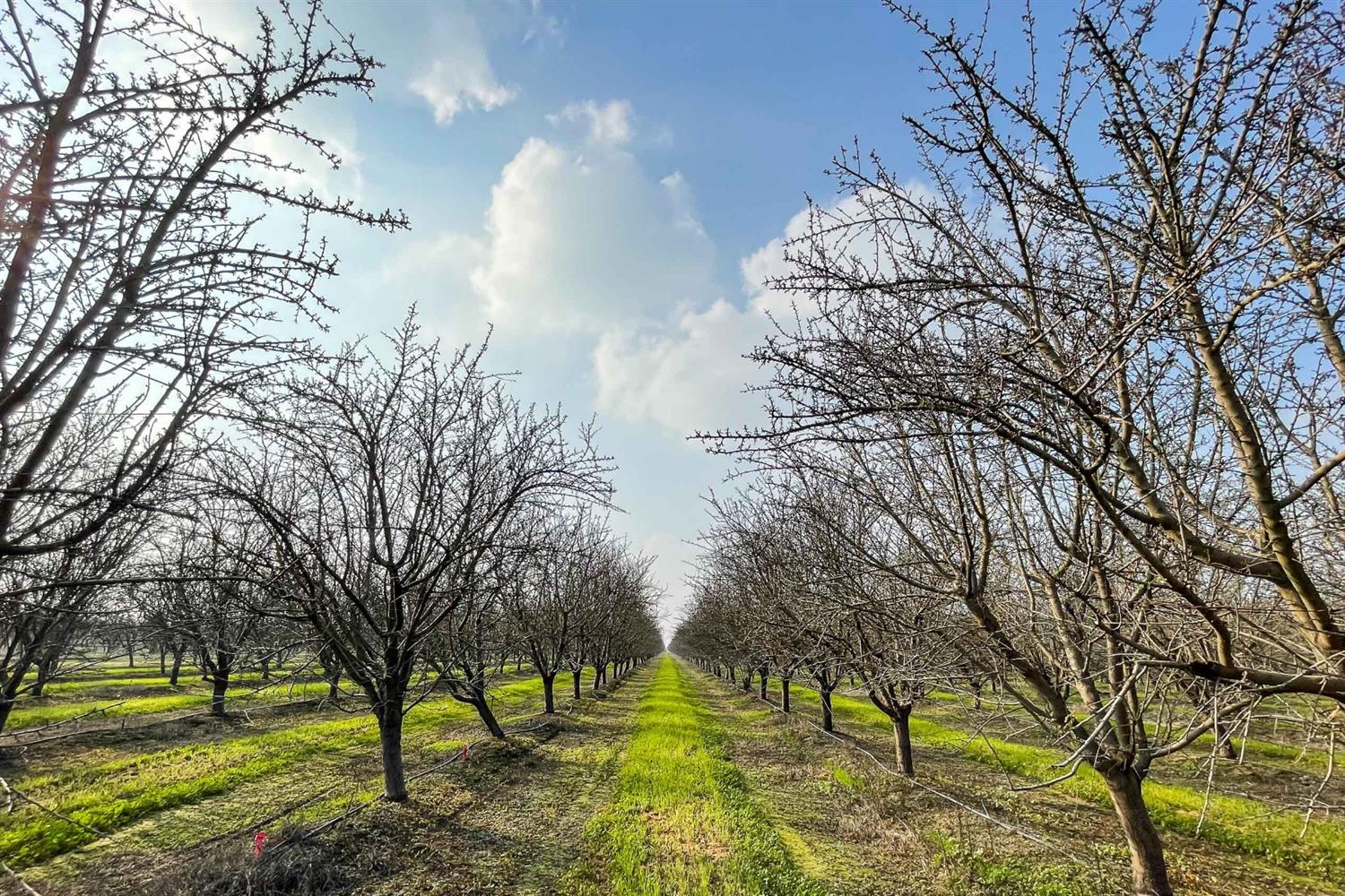 a view of swimming pool with a yard