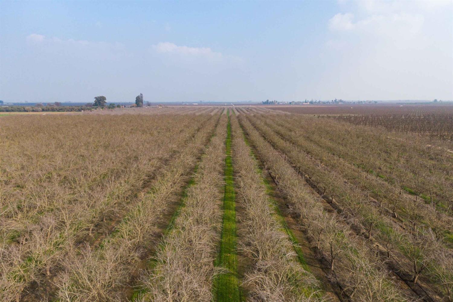 19780 Road 188 Strathmore, CA 93267 - Photo 3 of 12 a view of an ocean