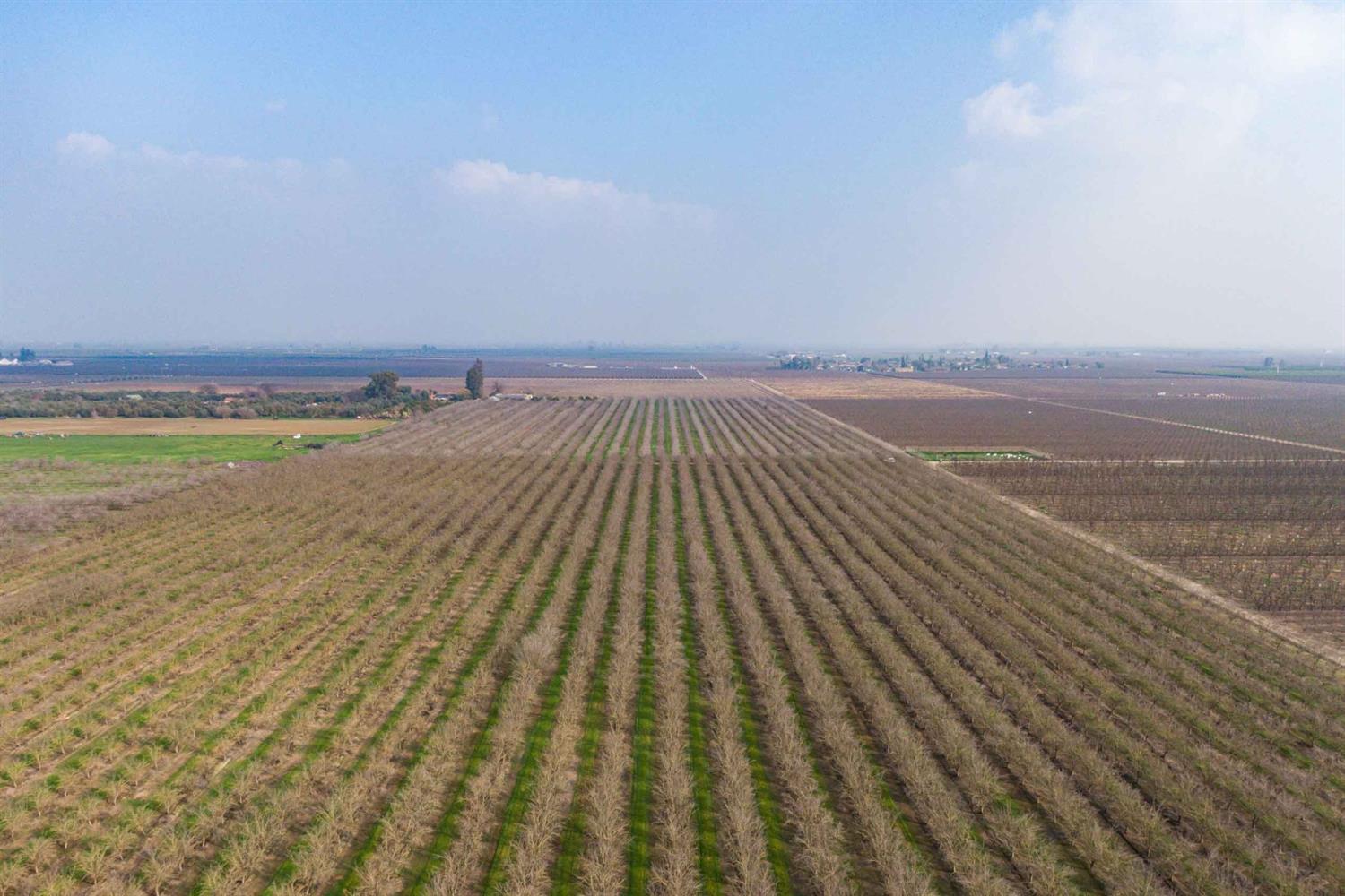 19780 Road 188 Strathmore, CA 93267 - Photo 4 of 12