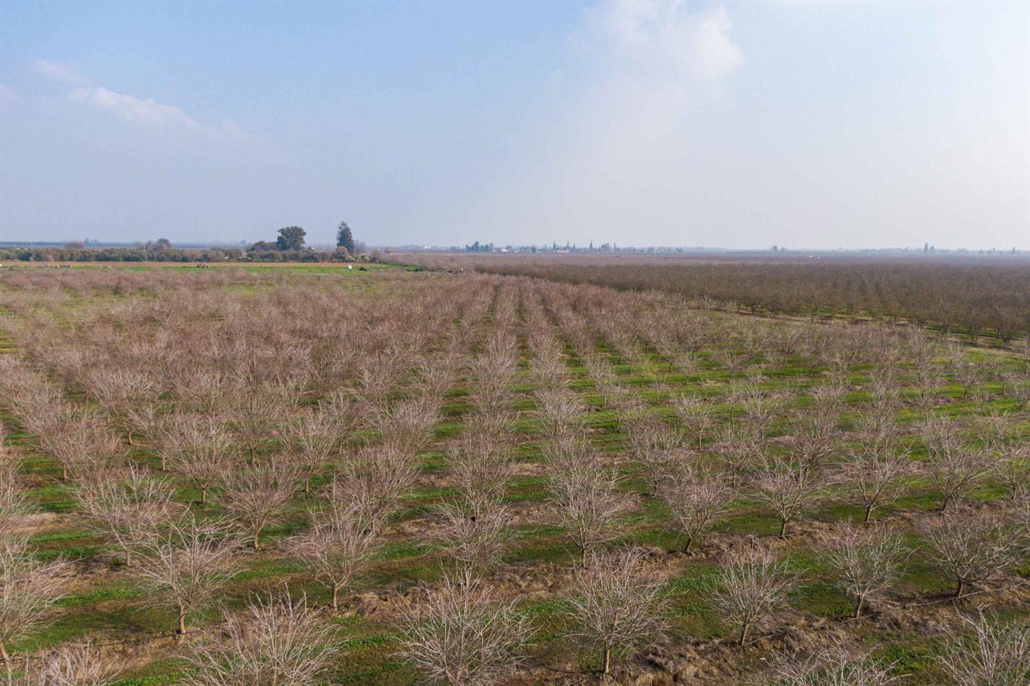19780 Road 188 Strathmore, CA 93267 - Photo 7 of 12 a view of ocean