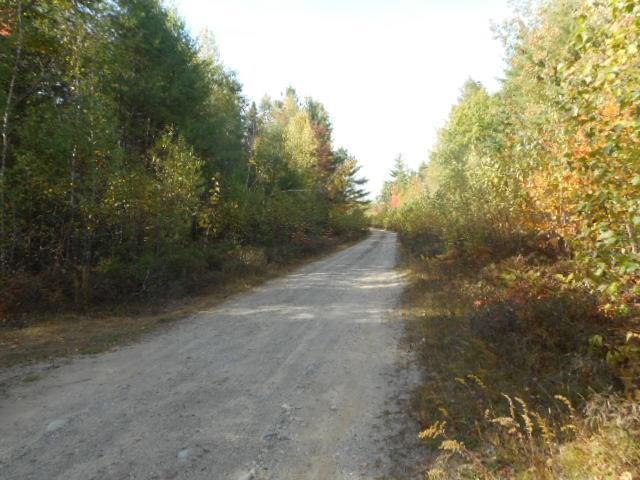 Map 1-lot Map 1-lot Main Road Greenbush, ME 04418 - Photo 9 of 9 Photo