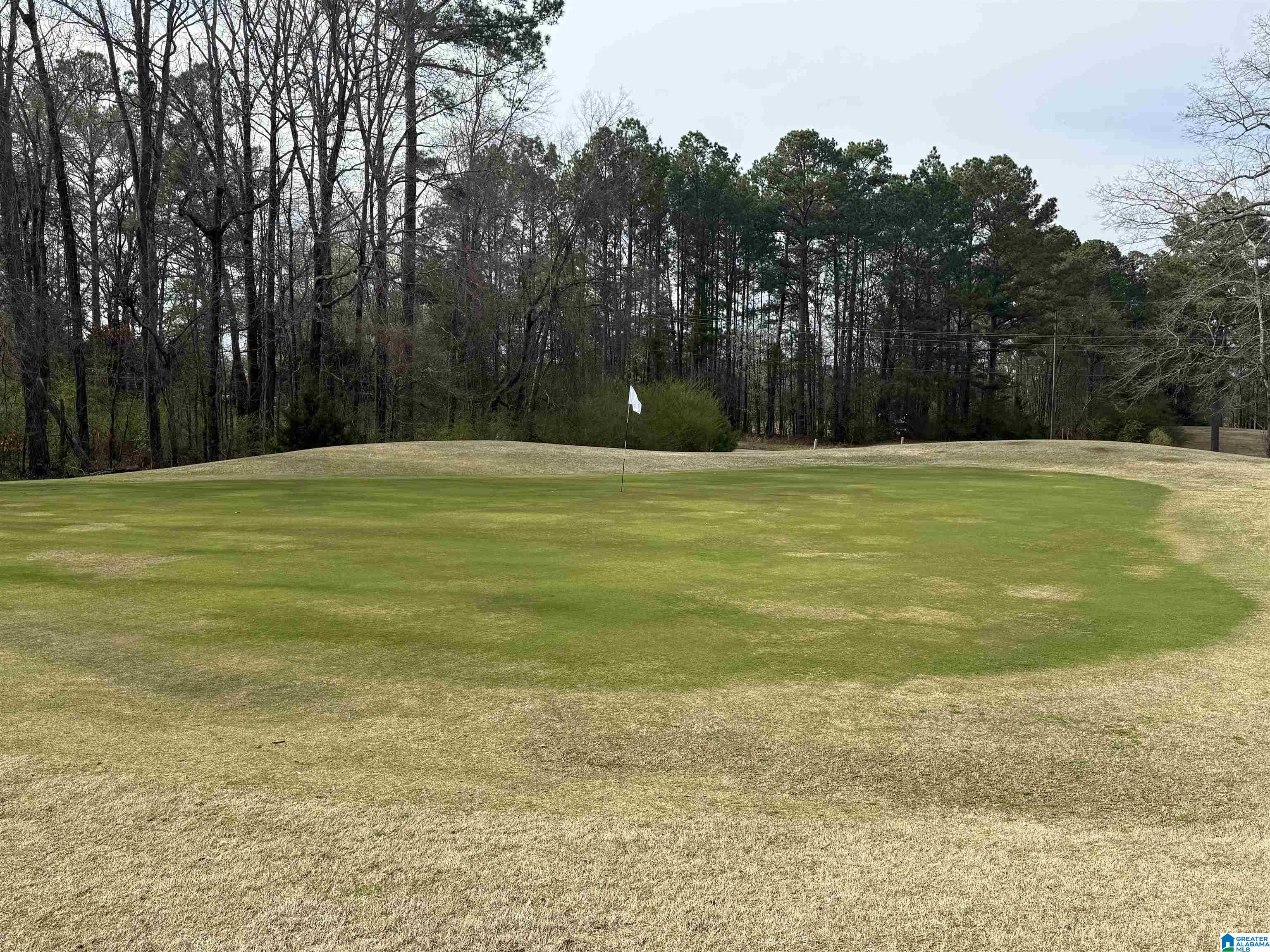10 Club House Road, Unit 10 Sylacauga, AL 35150 - Photo 7 of 7