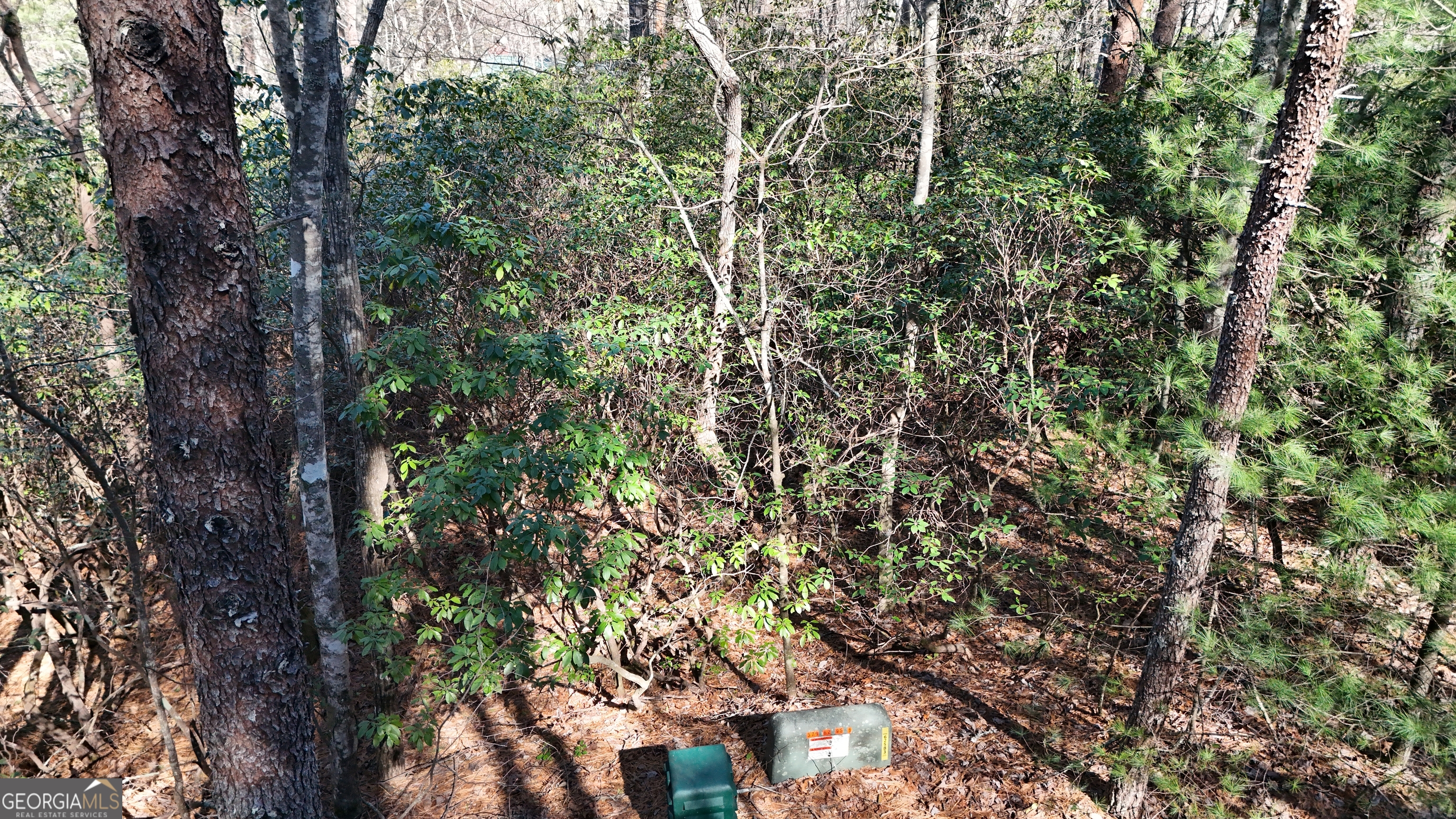 Lot 2 Crumley Creek Road Sautee Nacoochee, GA 30571 - Photo 4 of 5