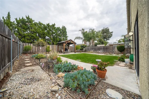 a view of a backyard with a garden and plants