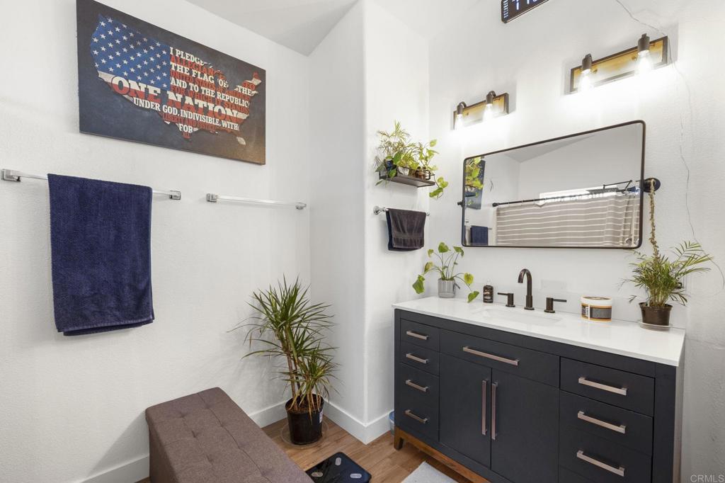 224 Astro Court Vista, CA 92083 - Photo 28 of 47 a bathroom with a sink a mirror and a potted plant