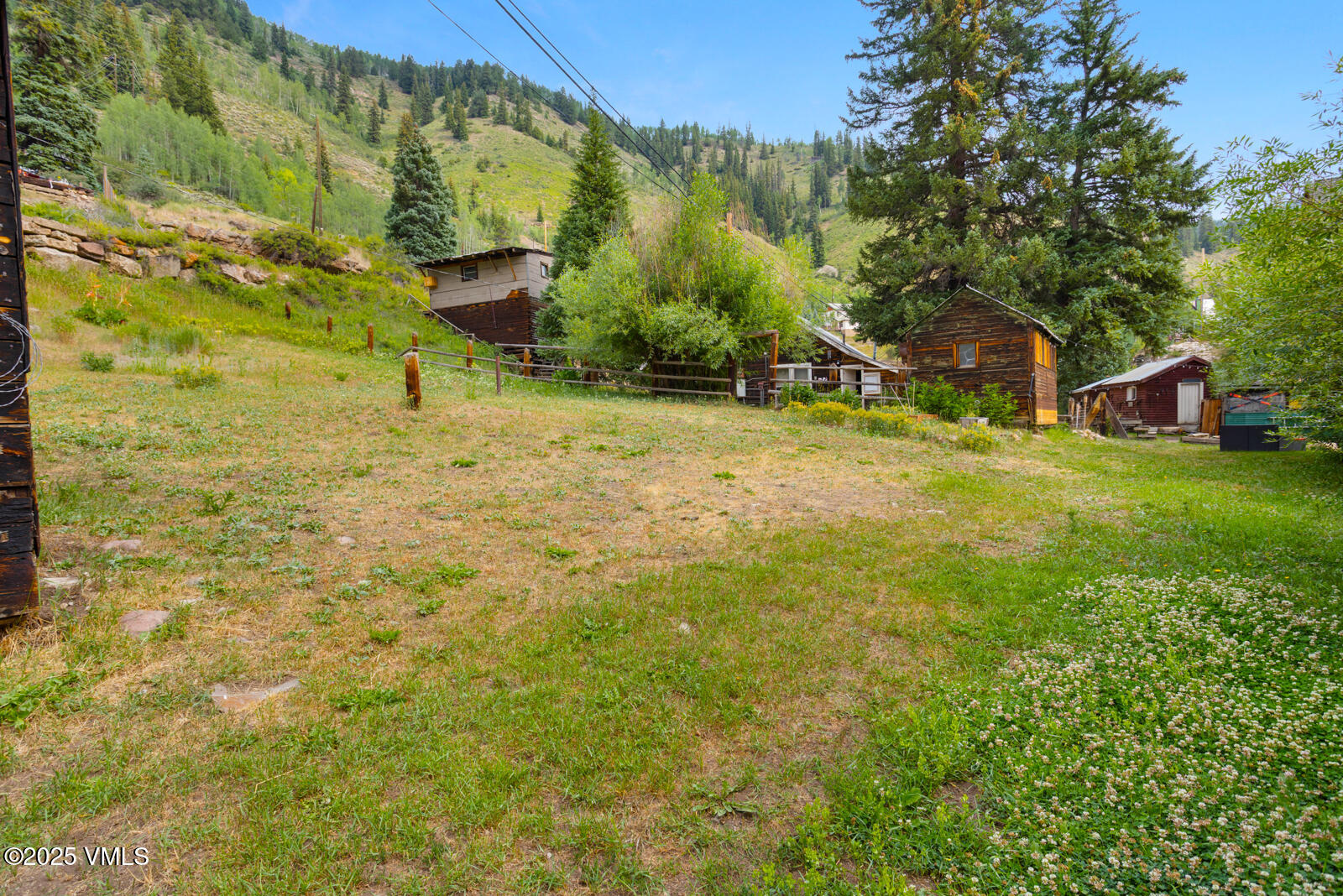407 Water Street Red Cliff, CO 81649 - Photo 9 of 25 a view of a big yard with large trees