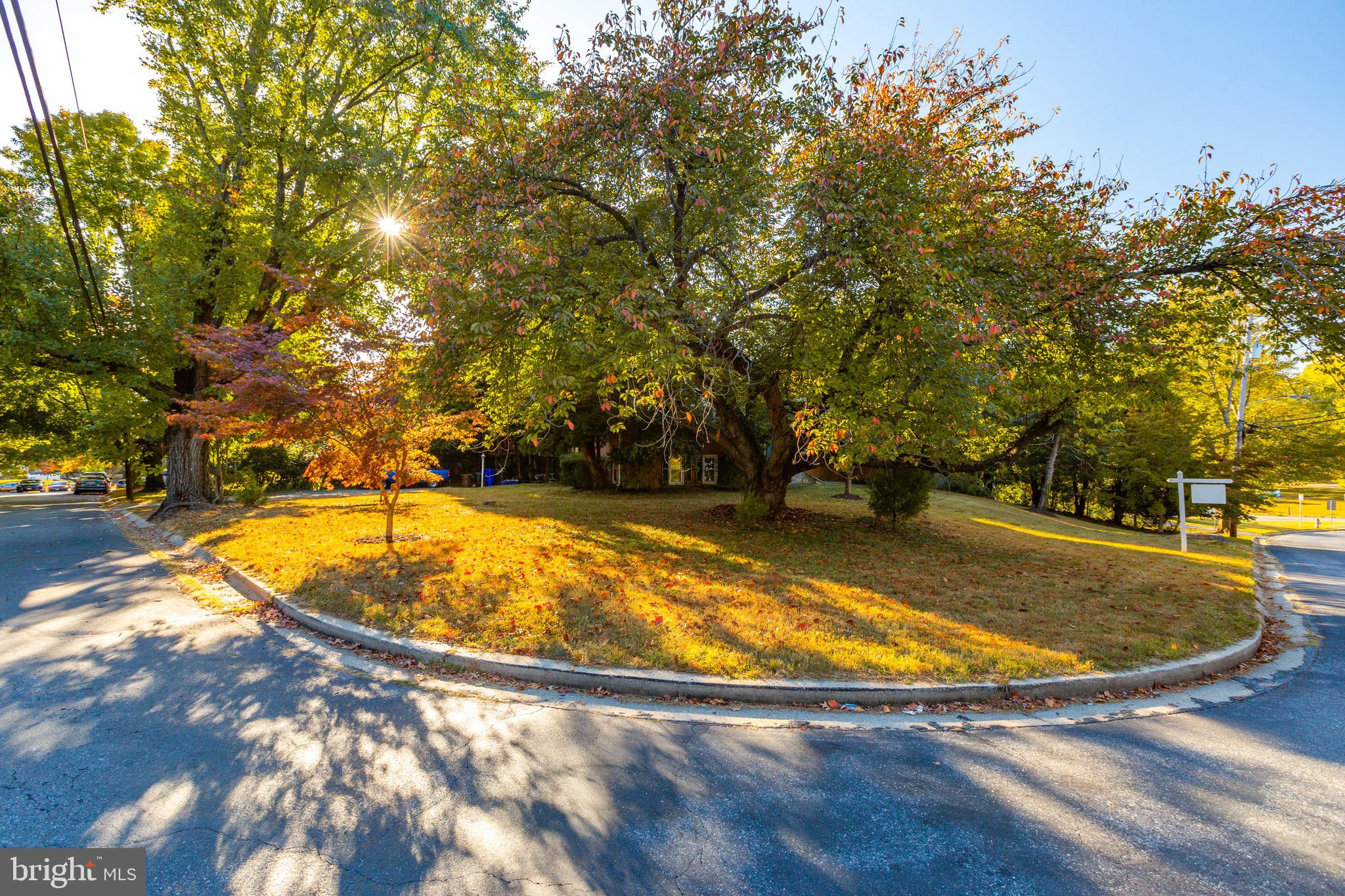 10812 Meadowhill Road Silver Spring, MD 20901 - Photo 33 of 33 Gallery Image 33