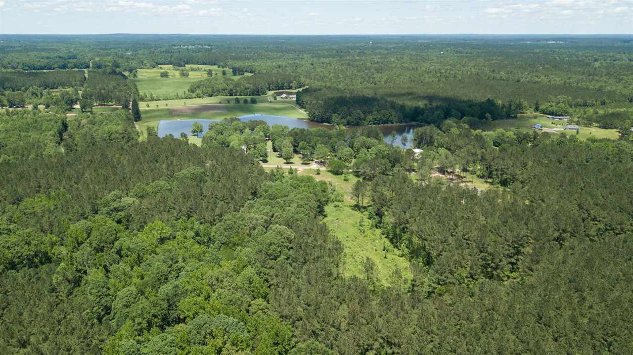 0 Spring Water Ranch Road Mendenhall, MS 39114 - Photo 11 of 30 Photo 11