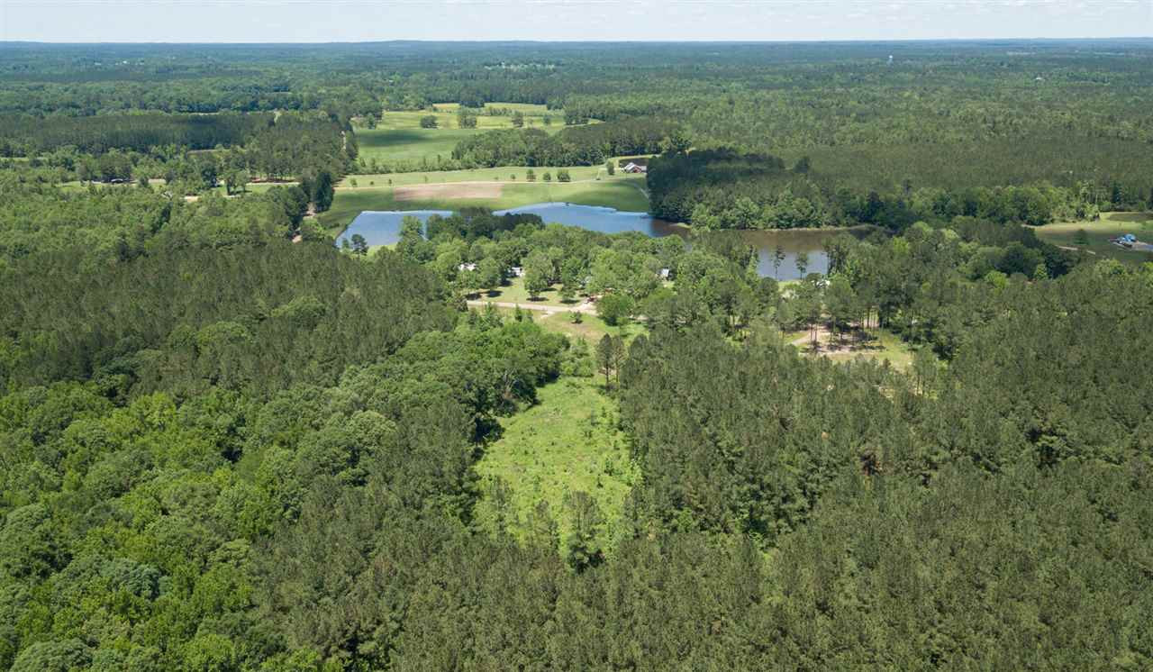0 Spring Water Ranch Road Mendenhall, MS 39114 - Photo 13 of 30 Photo 13