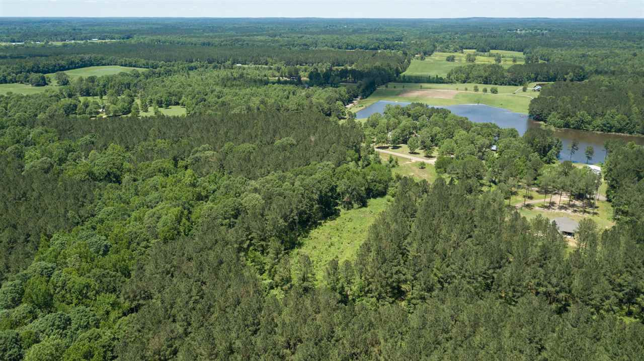 0 Spring Water Ranch Road Mendenhall, MS 39114 - Photo 14 of 30 Photo 14
