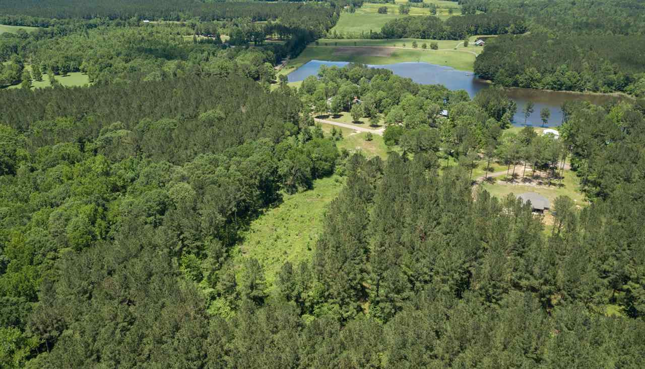 0 Spring Water Ranch Road Mendenhall, MS 39114 - Photo 15 of 30 Photo 15