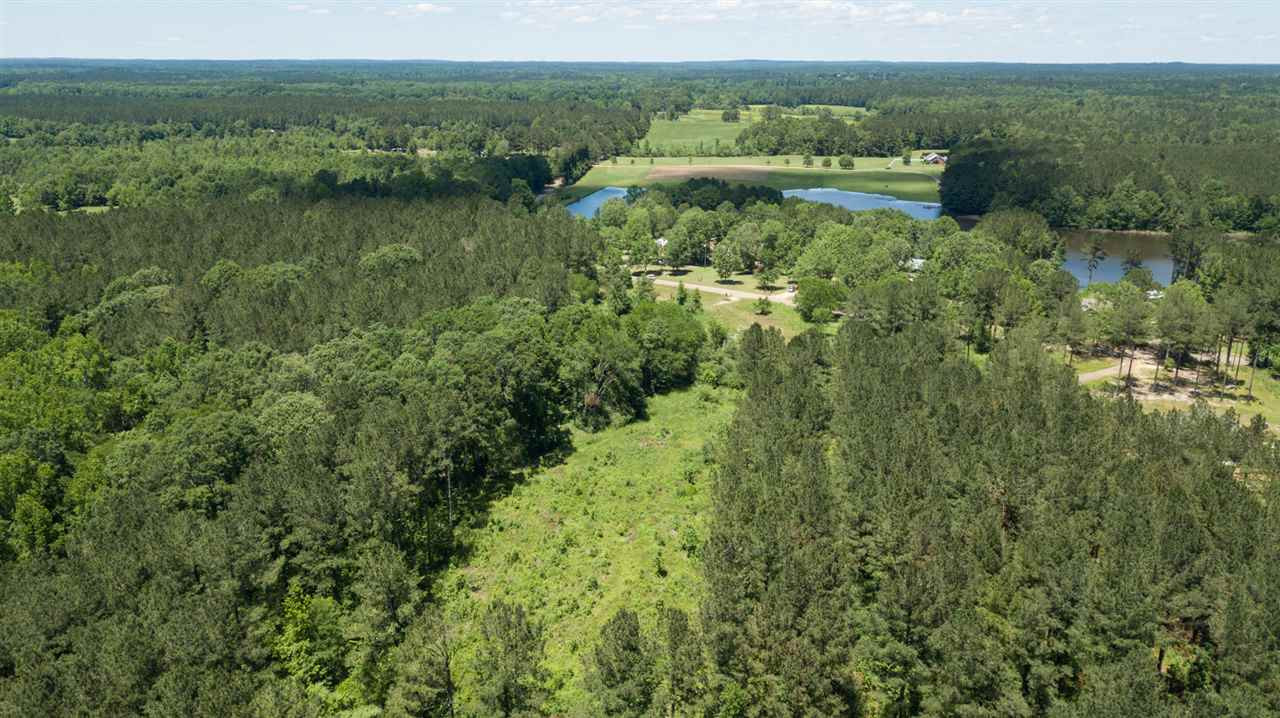 0 Spring Water Ranch Road Mendenhall, MS 39114 - Photo 16 of 30 Photo 16