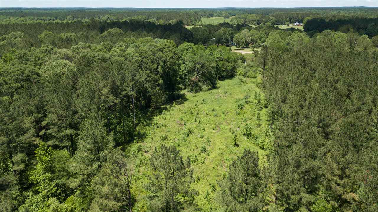 0 Spring Water Ranch Road Mendenhall, MS 39114 - Photo 17 of 30 Photo 17