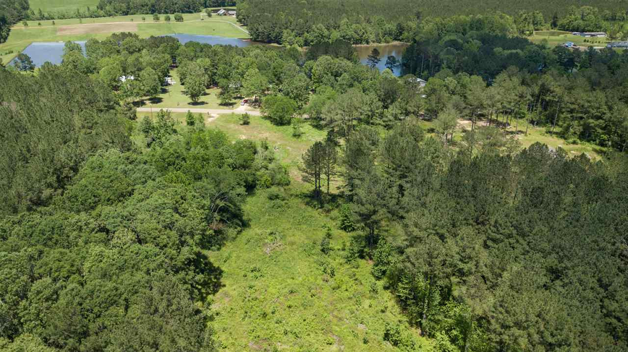 0 Spring Water Ranch Road Mendenhall, MS 39114 - Photo 19 of 30 Photo 19