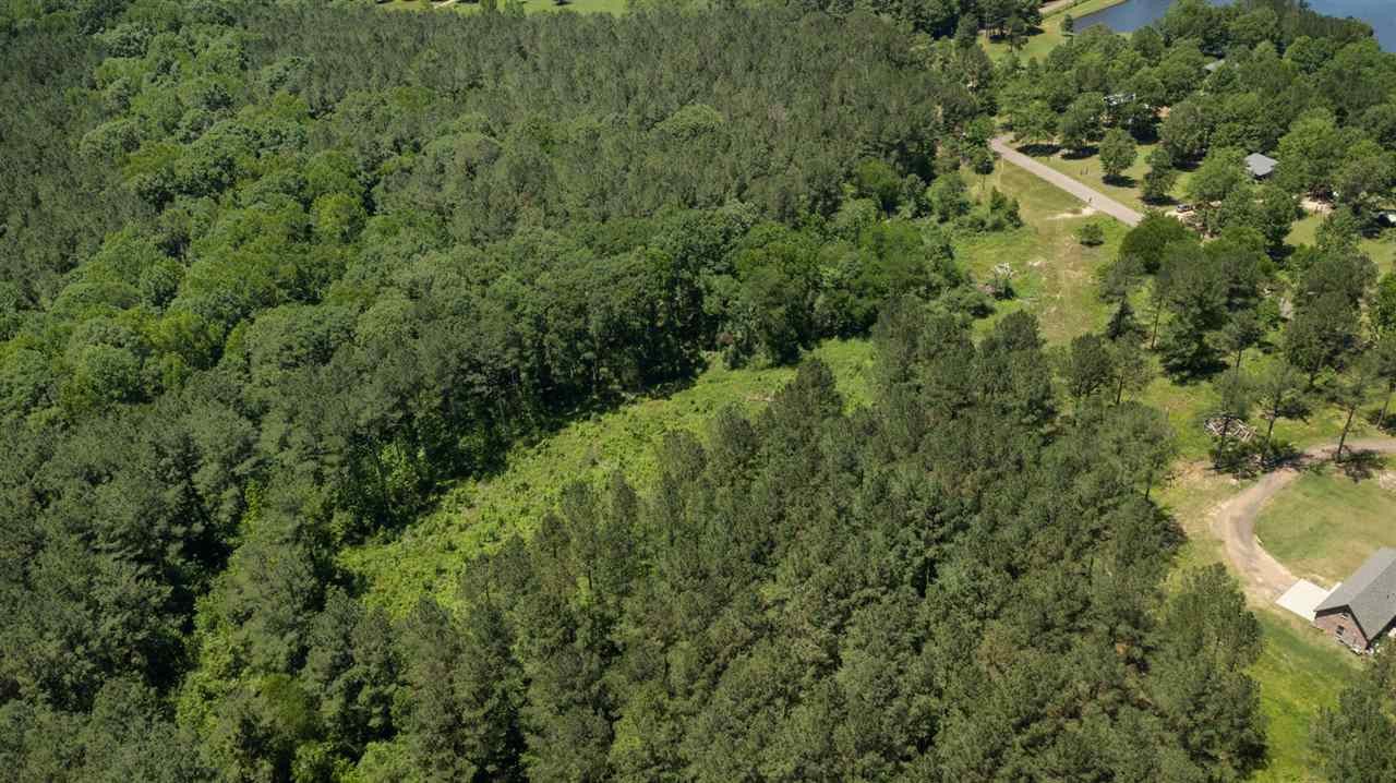 0 Spring Water Ranch Road Mendenhall, MS 39114 - Photo 20 of 30 Photo 20