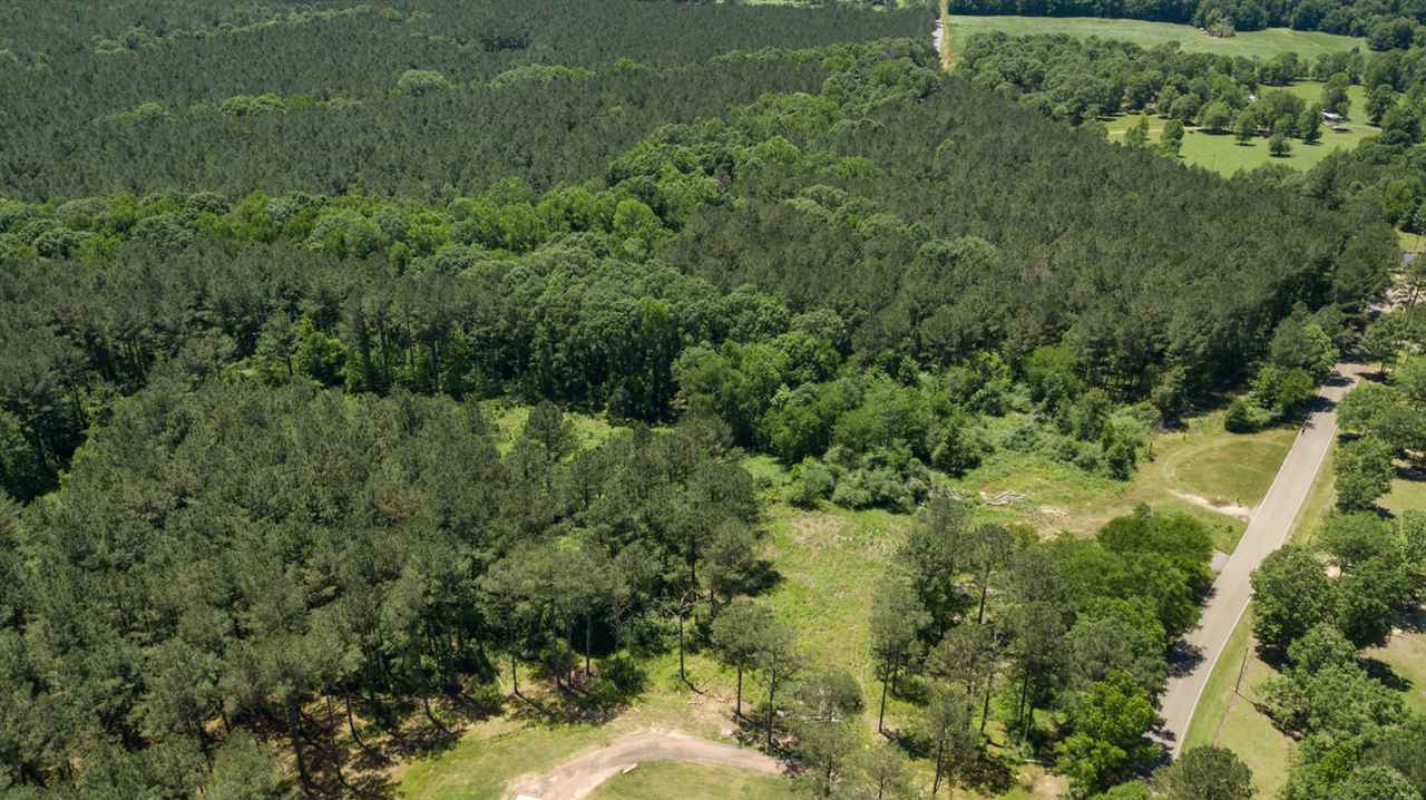 0 Spring Water Ranch Road Mendenhall, MS 39114 - Photo 21 of 30 Photo 21