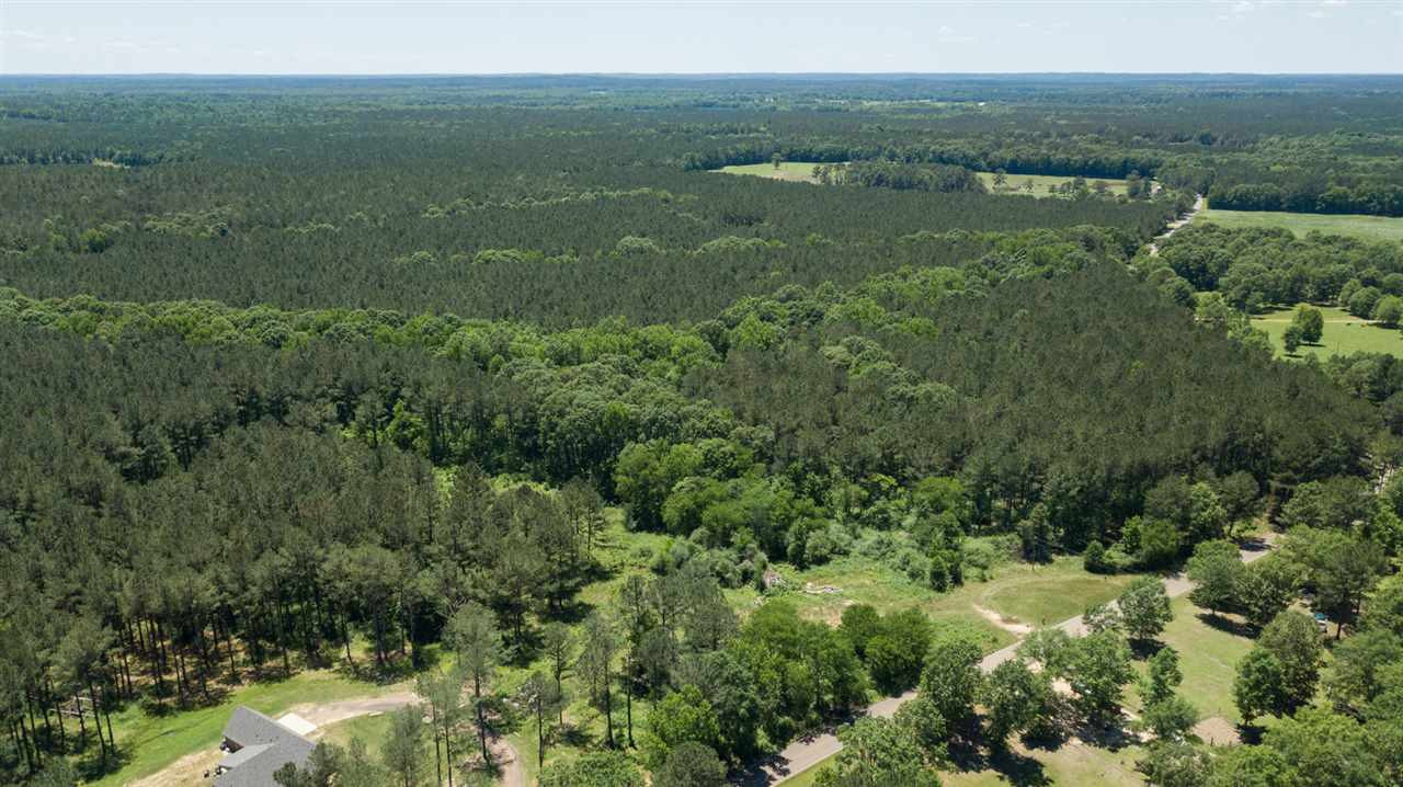 0 Spring Water Ranch Road Mendenhall, MS 39114 - Photo 22 of 30 Photo 22