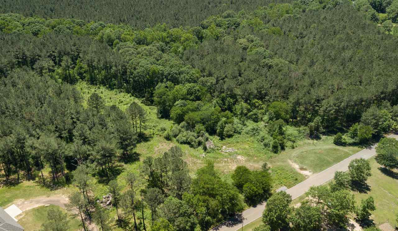 0 Spring Water Ranch Road Mendenhall, MS 39114 - Photo 23 of 30 Photo 23