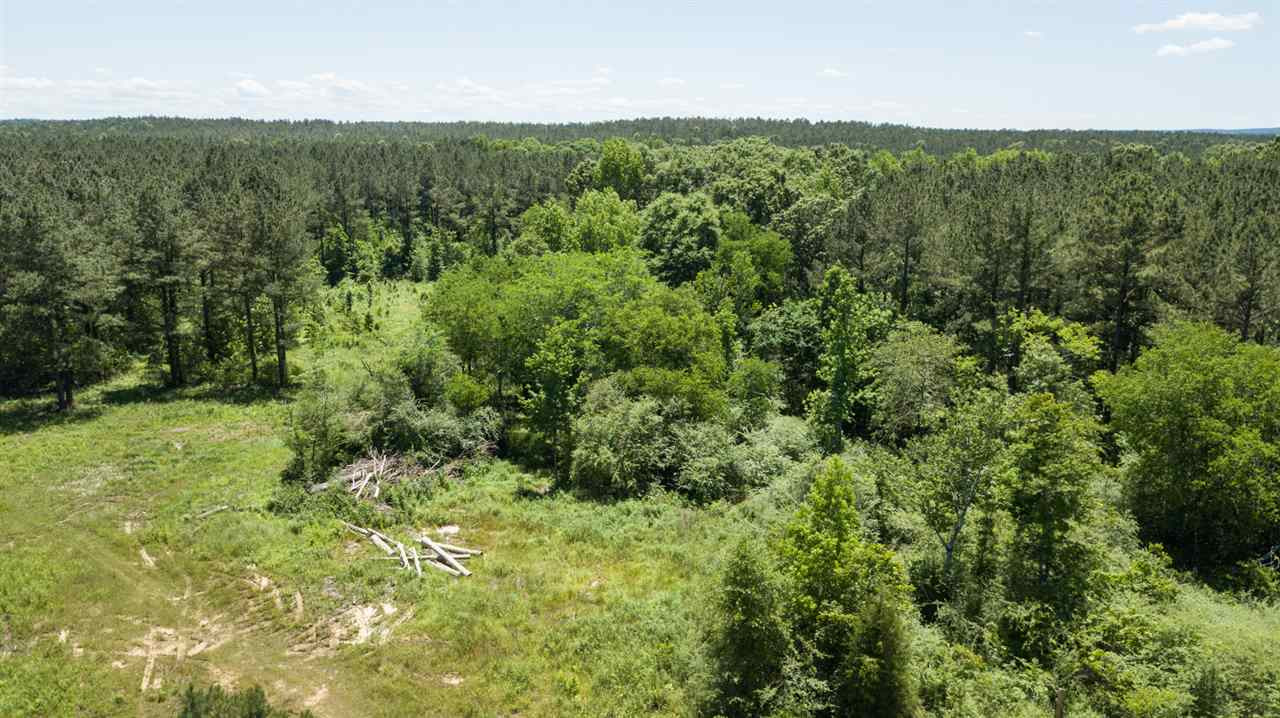0 Spring Water Ranch Road Mendenhall, MS 39114 - Photo 28 of 30 Photo 37