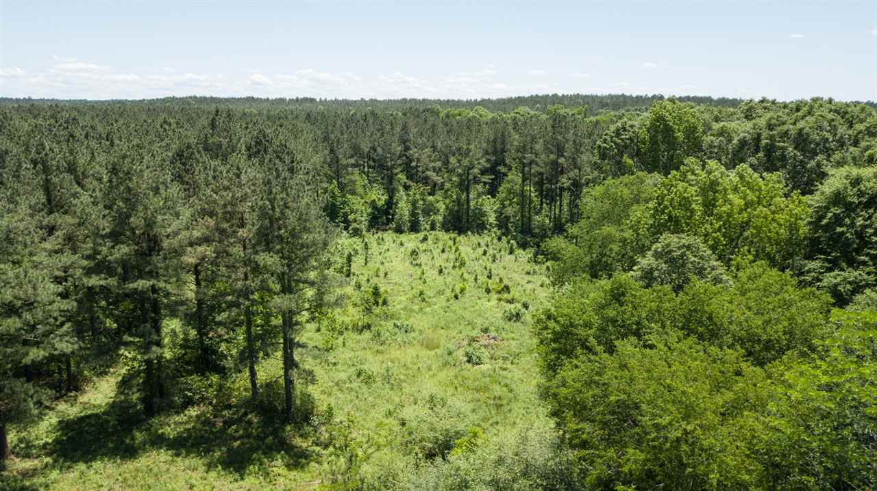 0 Spring Water Ranch Road Mendenhall, MS 39114 - Photo 29 of 30 Photo 38