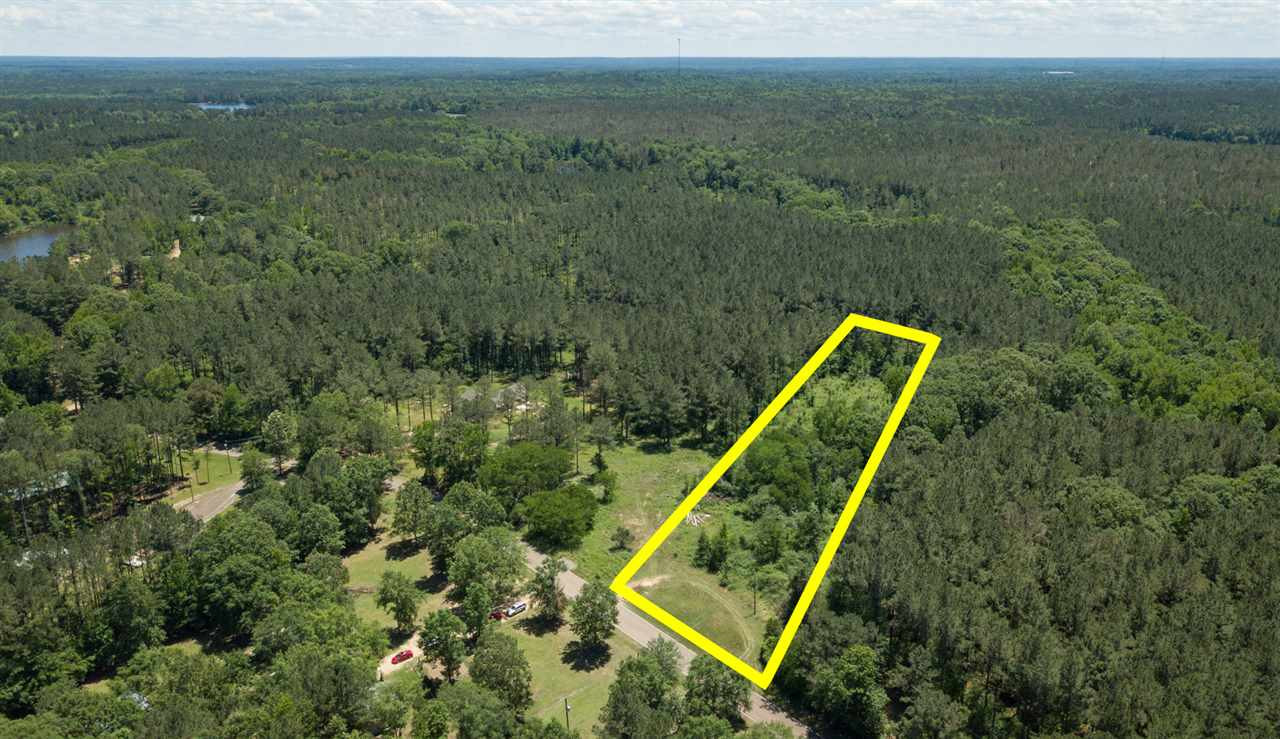 0 Spring Water Ranch Road Mendenhall, MS 39114 - Photo 3 of 30 Photo 3