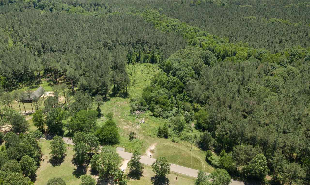 0 Spring Water Ranch Road Mendenhall, MS 39114 - Photo 6 of 30 Photo 6